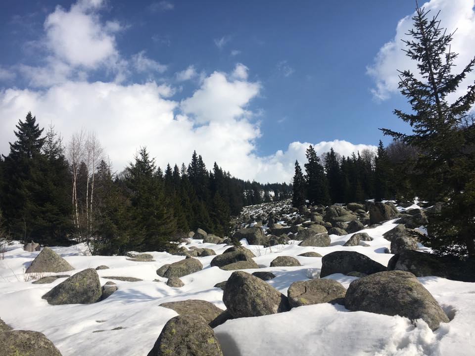 Витоша, Офелиите